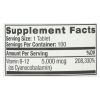 Natrol Fast Dissolving Vitamin B12 - 5000 mcg - 100 tabs